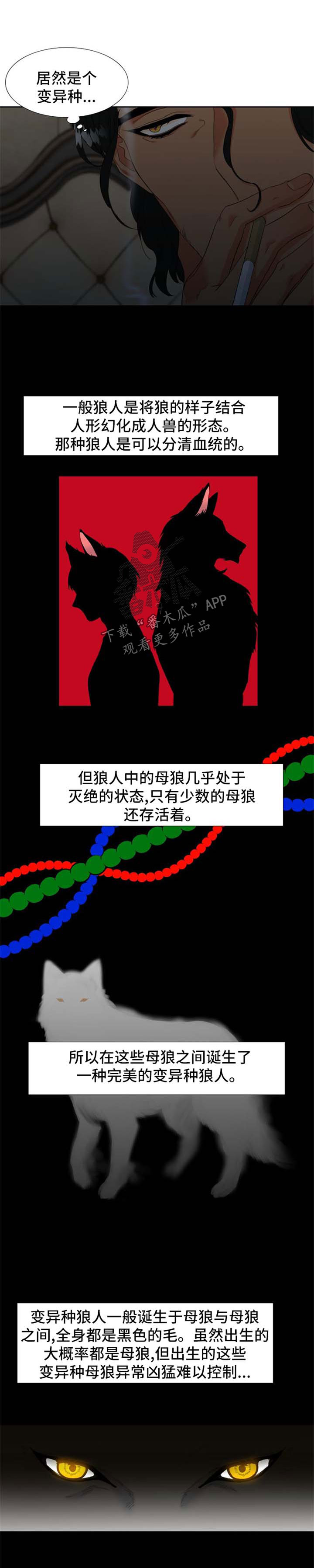 第152章：【第二季】MT邀约6