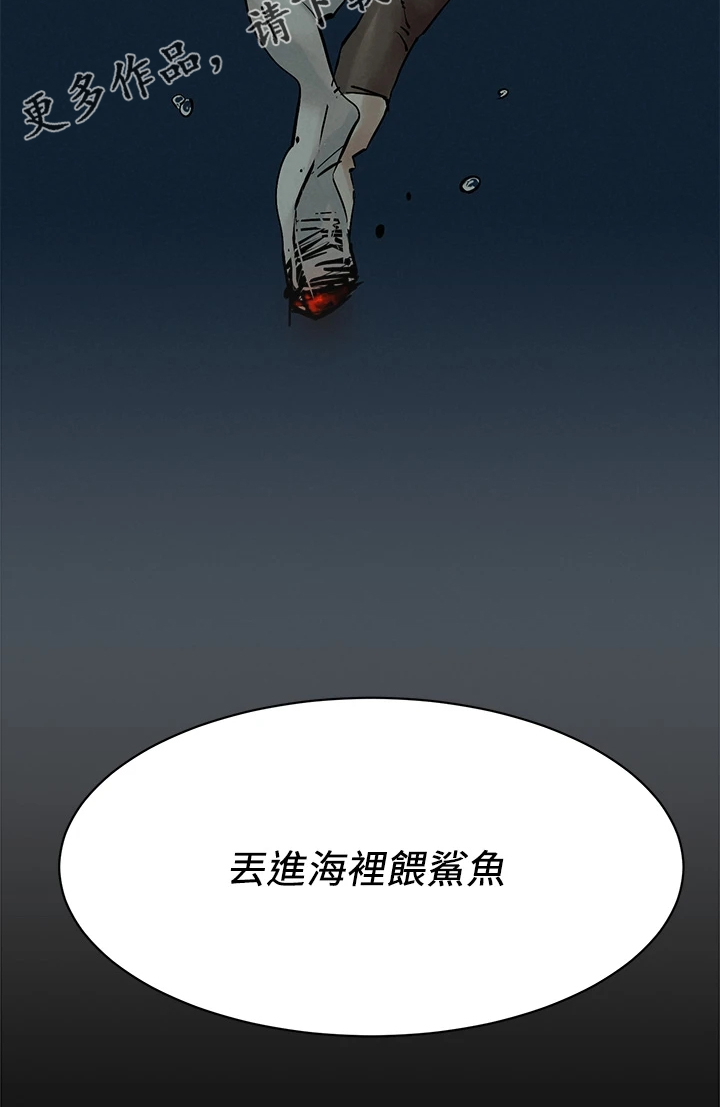 第241章：黑老大的报复18