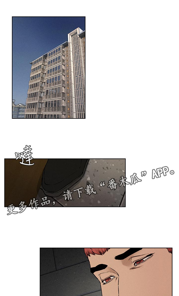 第216章：出手0