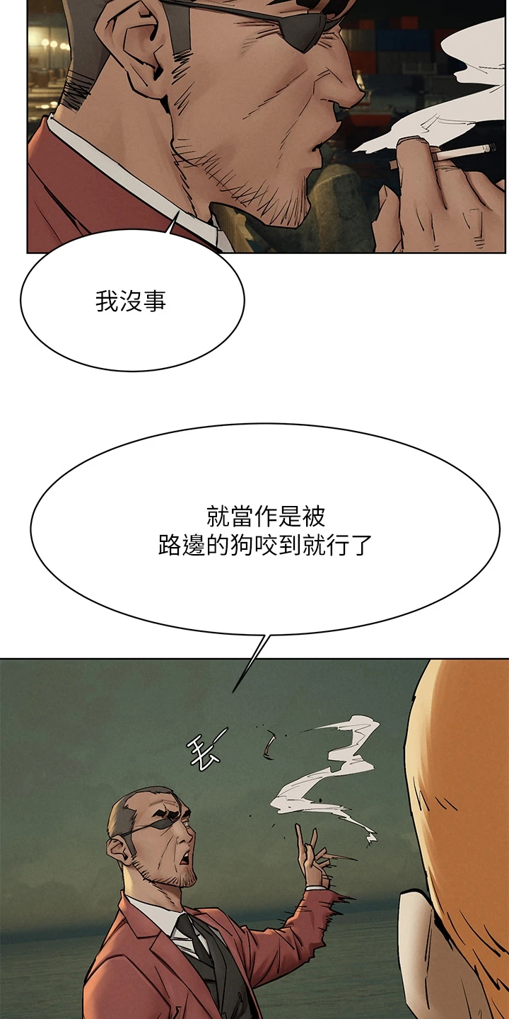 第241章：黑老大的报复15