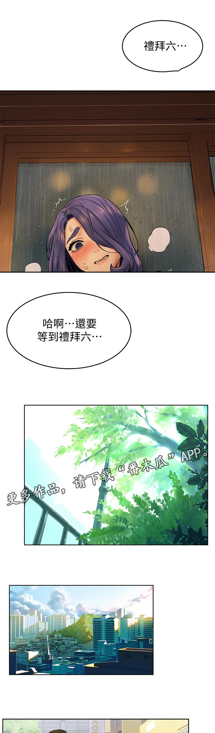 第181章：包裹0