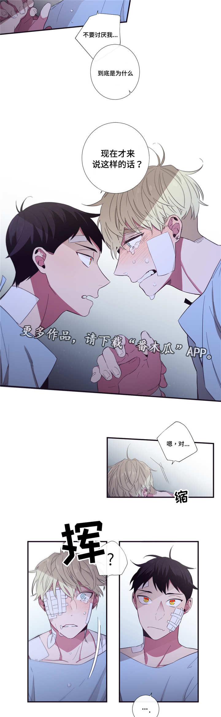 第47章：不如告白1
