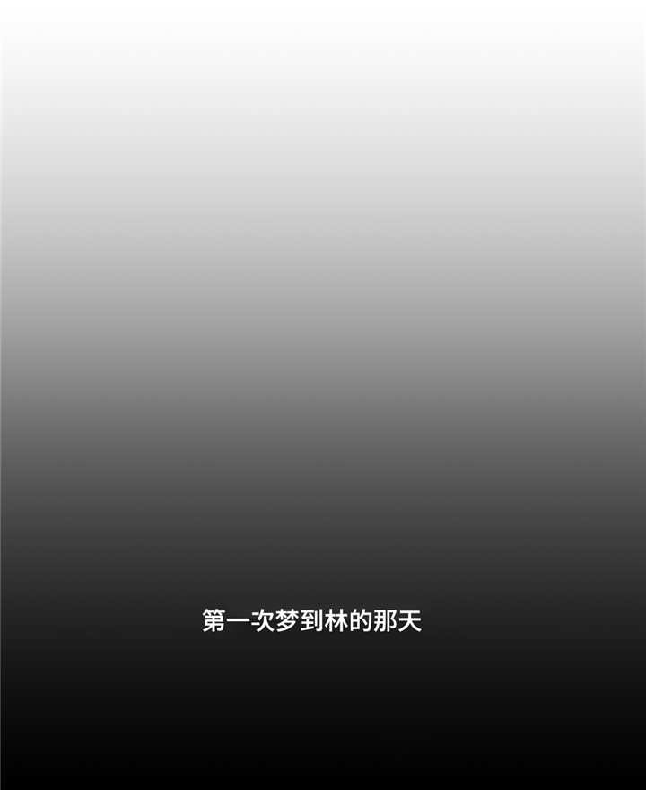 第43章：干了什么7