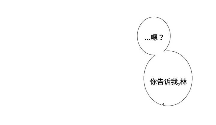 第38章：无可奉告13