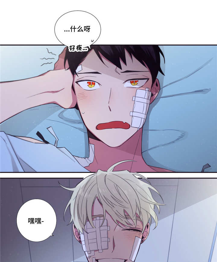 第48章：我喜欢你0