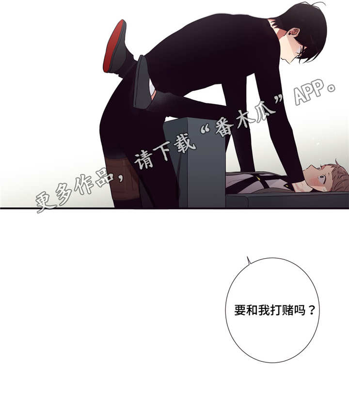 第77章：要打赌吗12