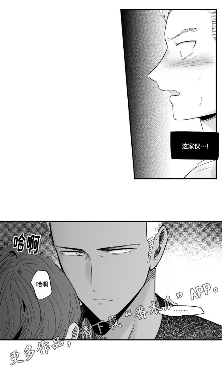 第35章：像个傻瓜3