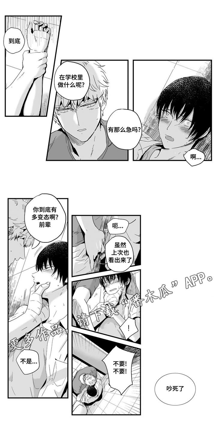 第7章：领回家4