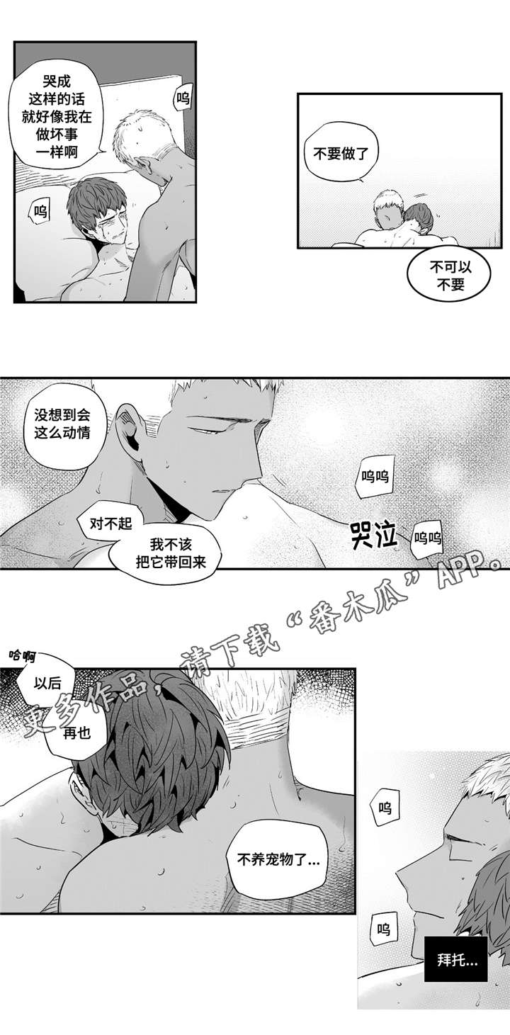第55章：给我机会10