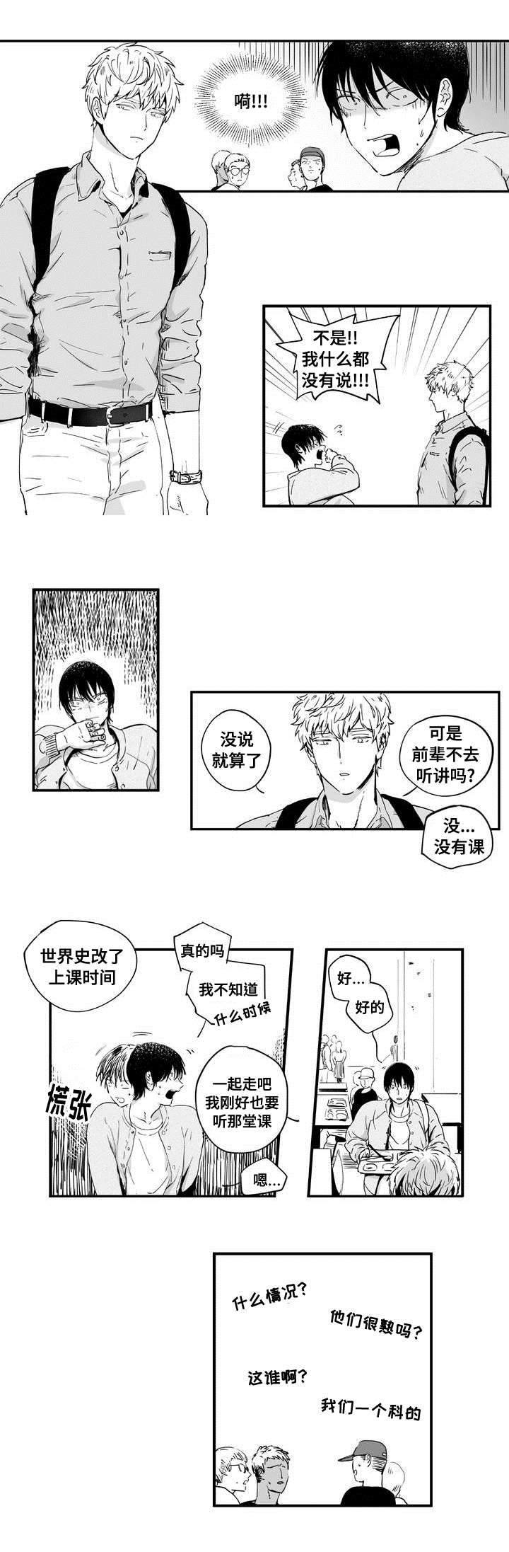 第1章：印象强烈12