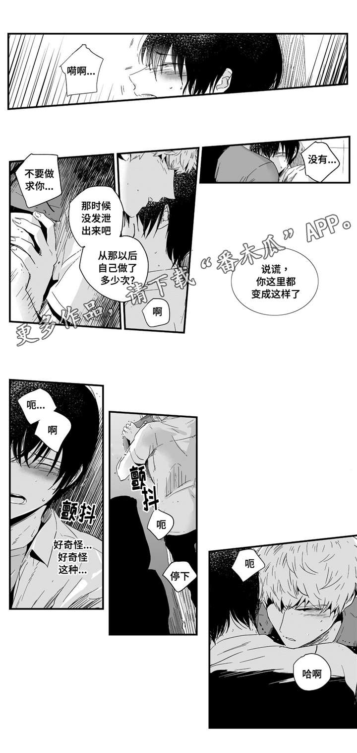 第7章：领回家5