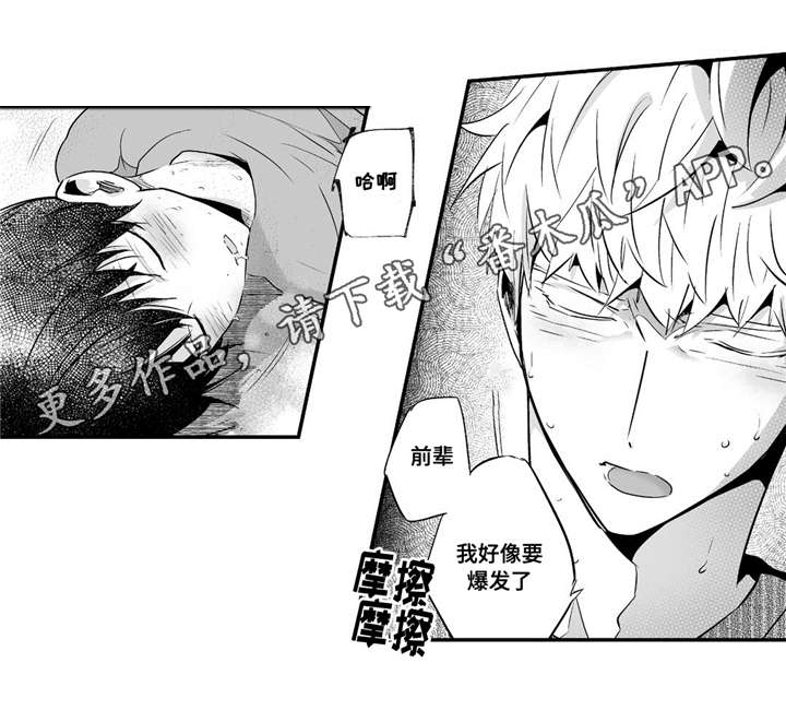 第54章：爱心1