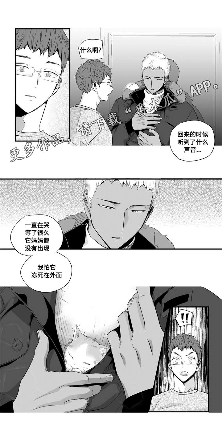第54章：爱心8