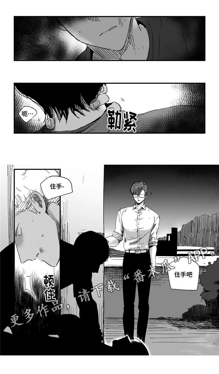 第19章：直面内心1