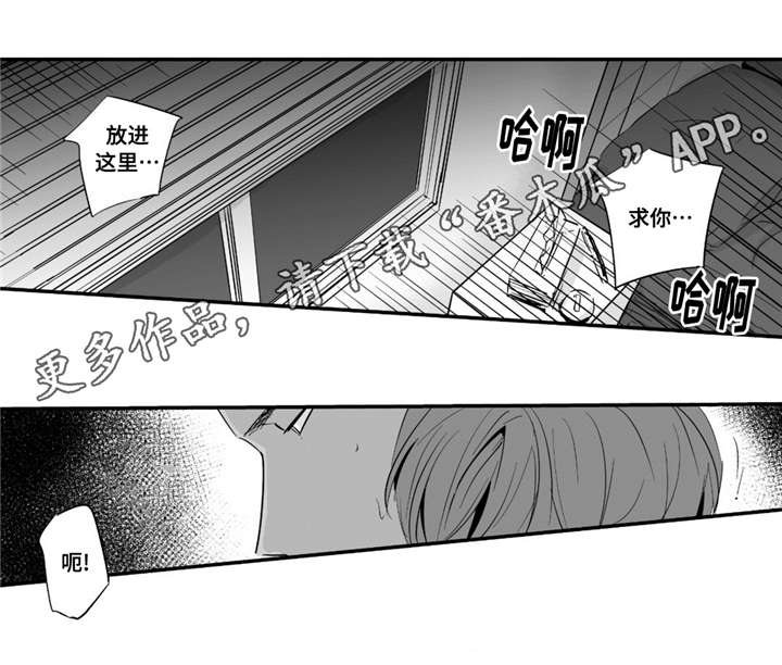 第35章：像个傻瓜6