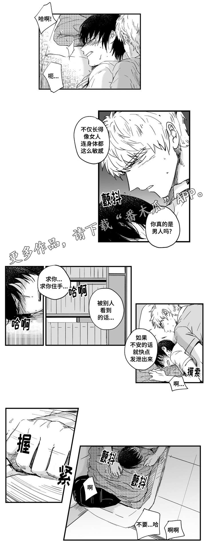 第5章：住手4