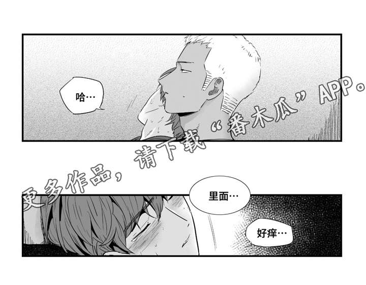 第35章：像个傻瓜5