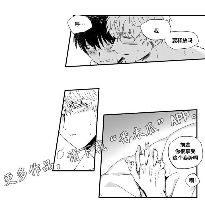 第25章：享受4