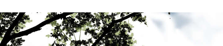 第112章：大结局48