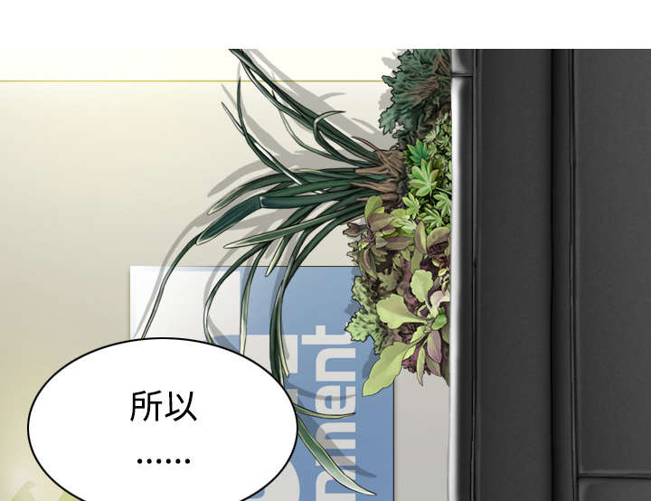 第53章：续约29