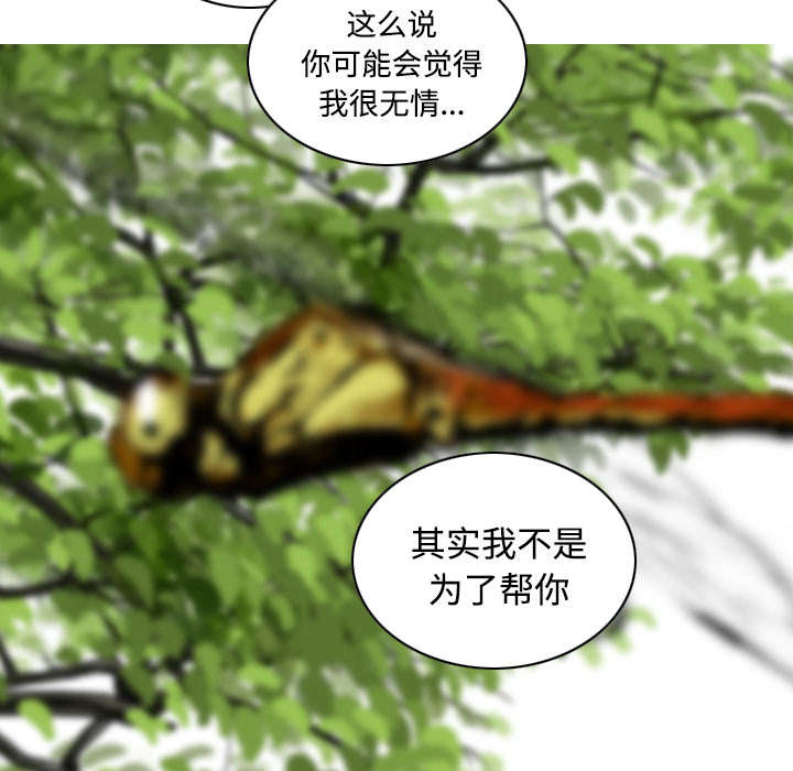 第61章：护食2