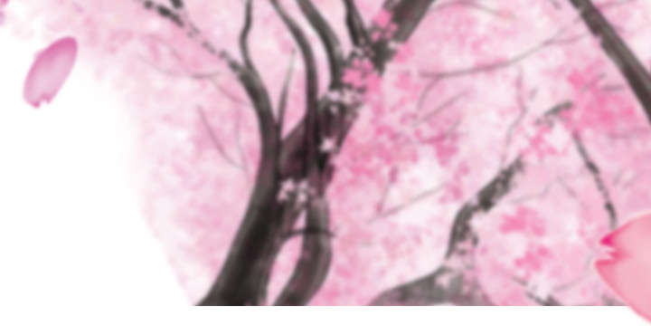 第8章：高中时期48
