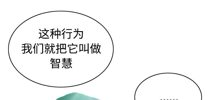 第73章：条件40