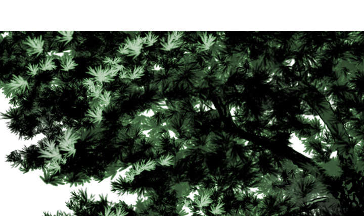 第66章：验货0