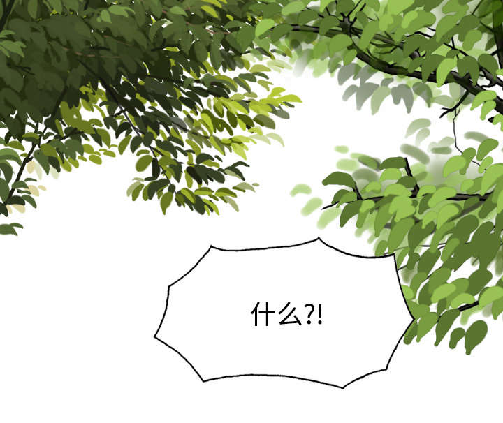第55章：把柄17