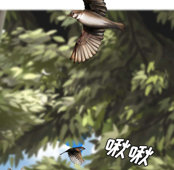 第55章：把柄4