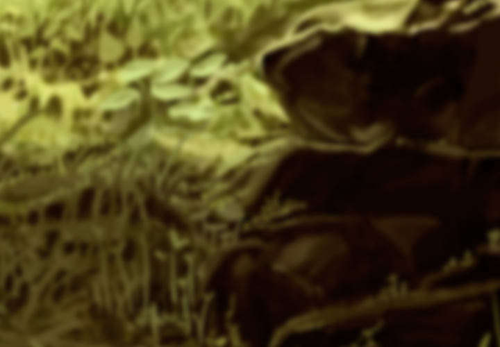 第110章：对峙3
