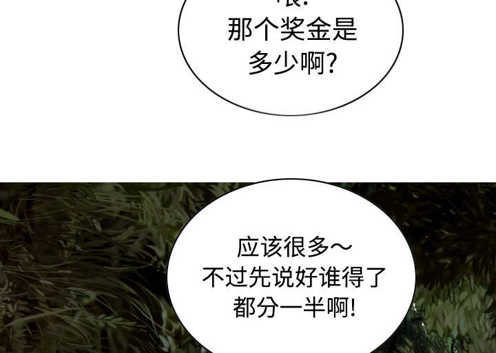 第75章：混乱17
