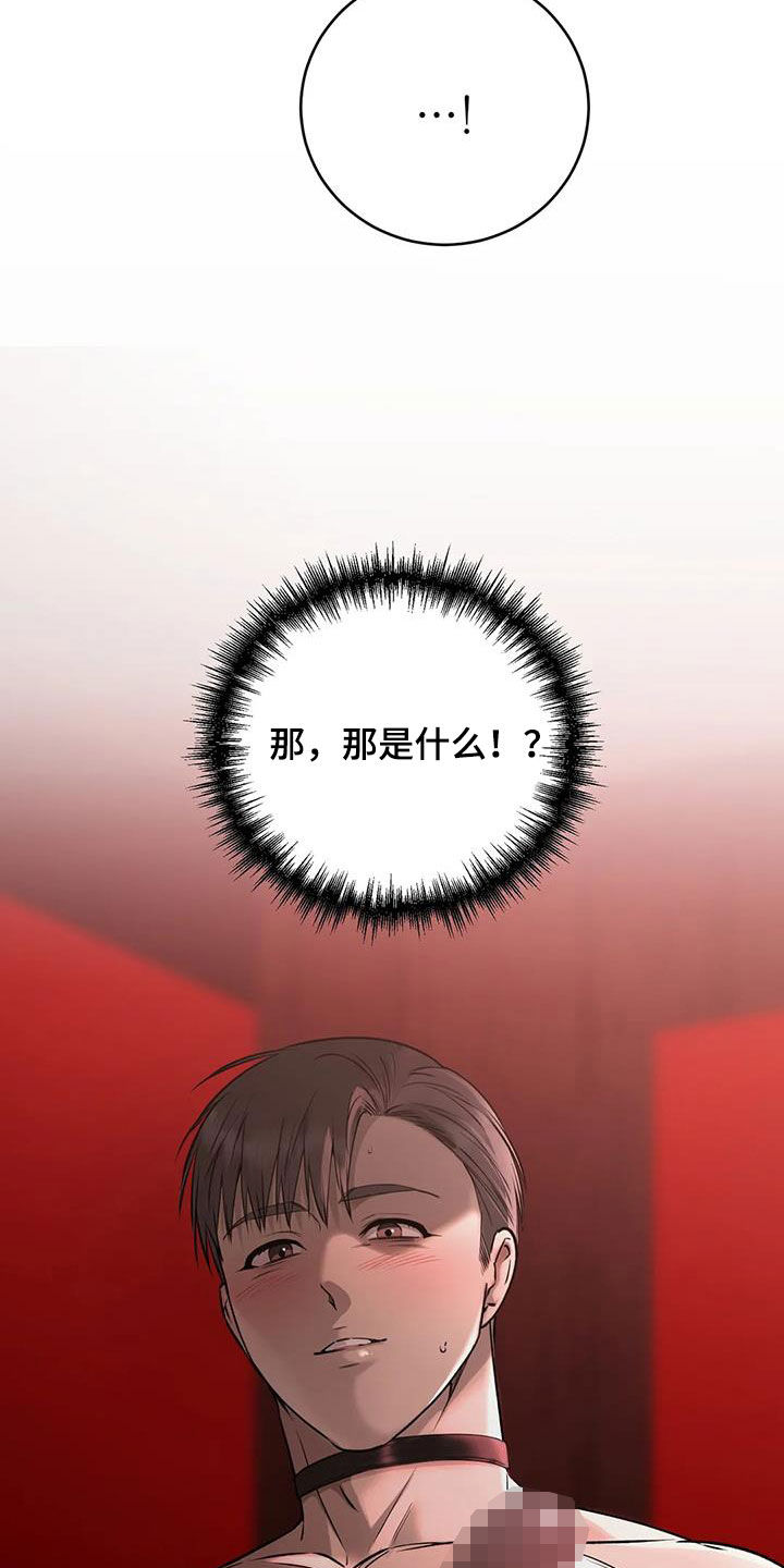 第44章：等待机会17