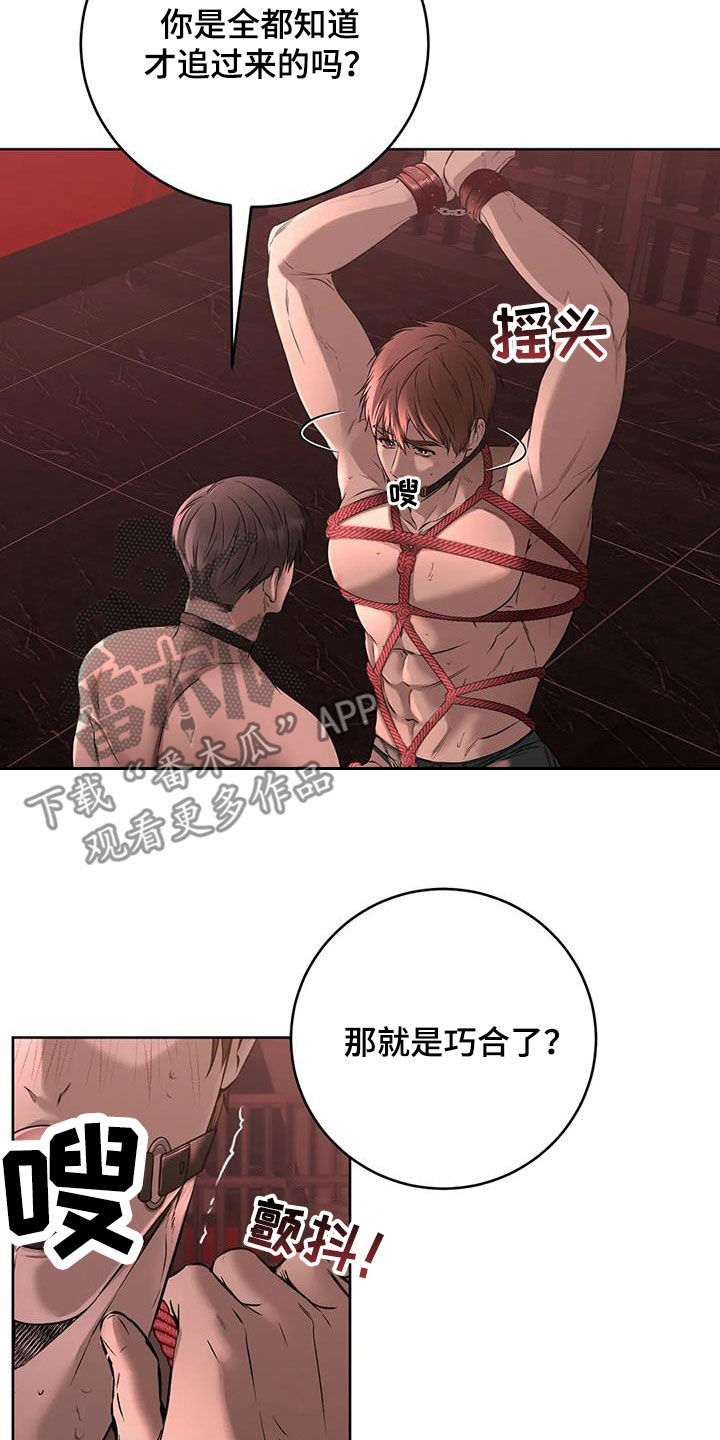 第44章：等待机会5
