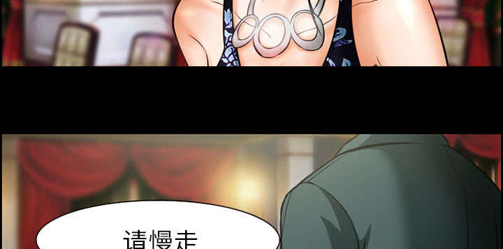 第13章：出资人35
