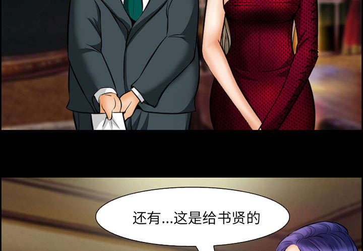 第13章：出资人30