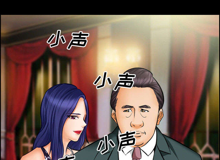 第13章：出资人26