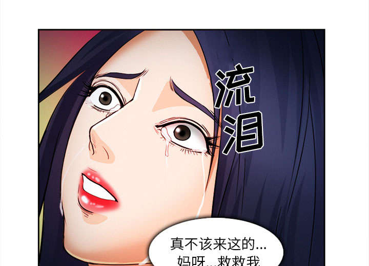 第28章：绑架34