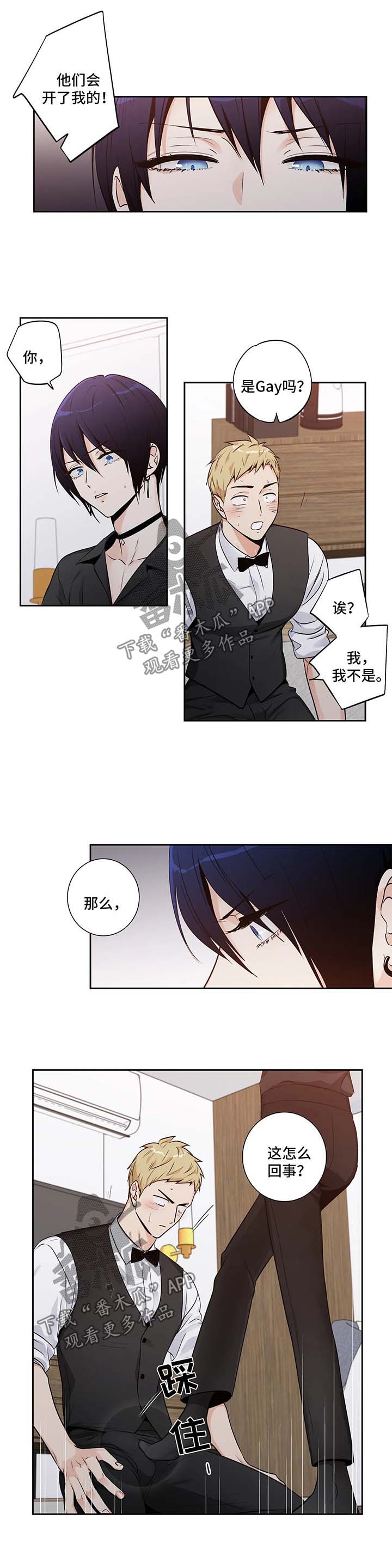 第148章：【第二季】你太美了2