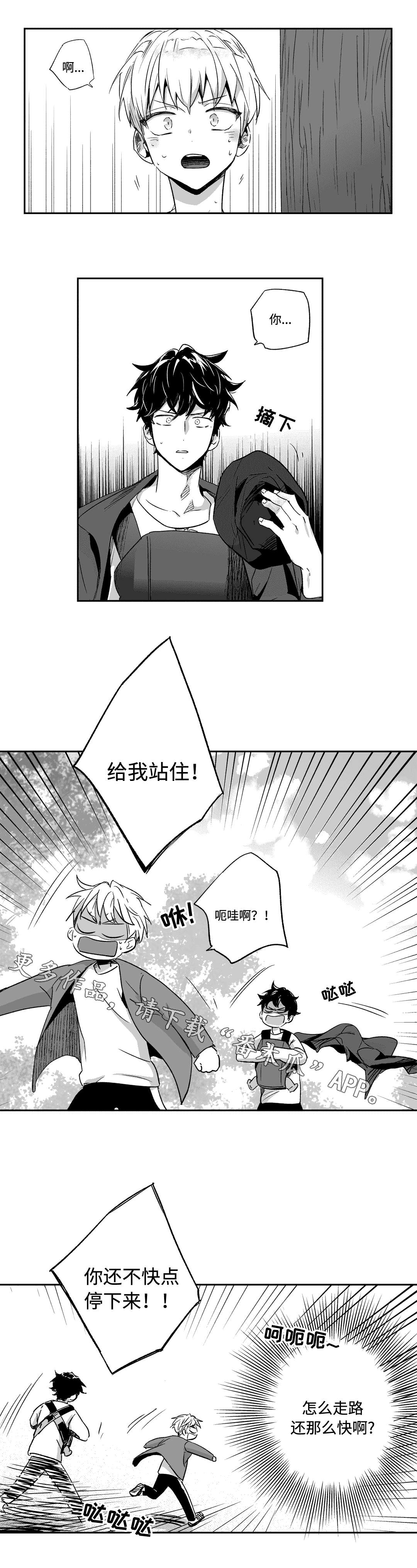第63章：抓住3