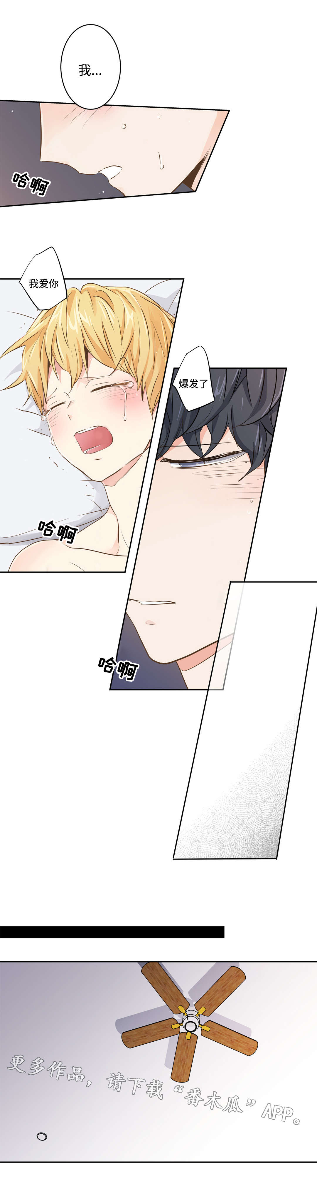 第66章：答案3