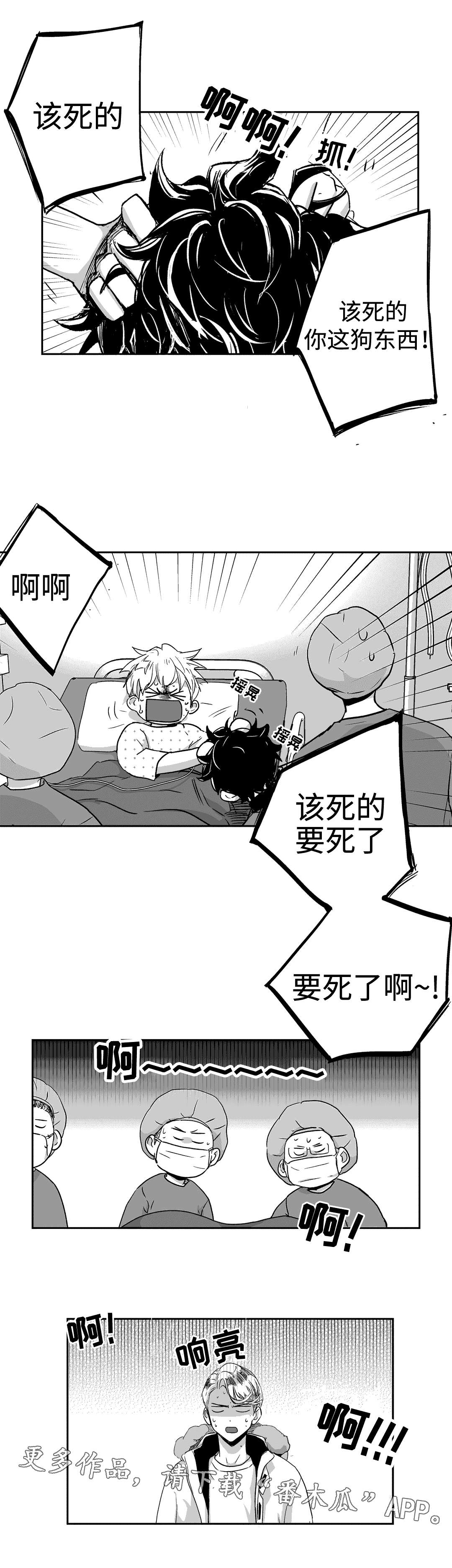 第52章：出生2