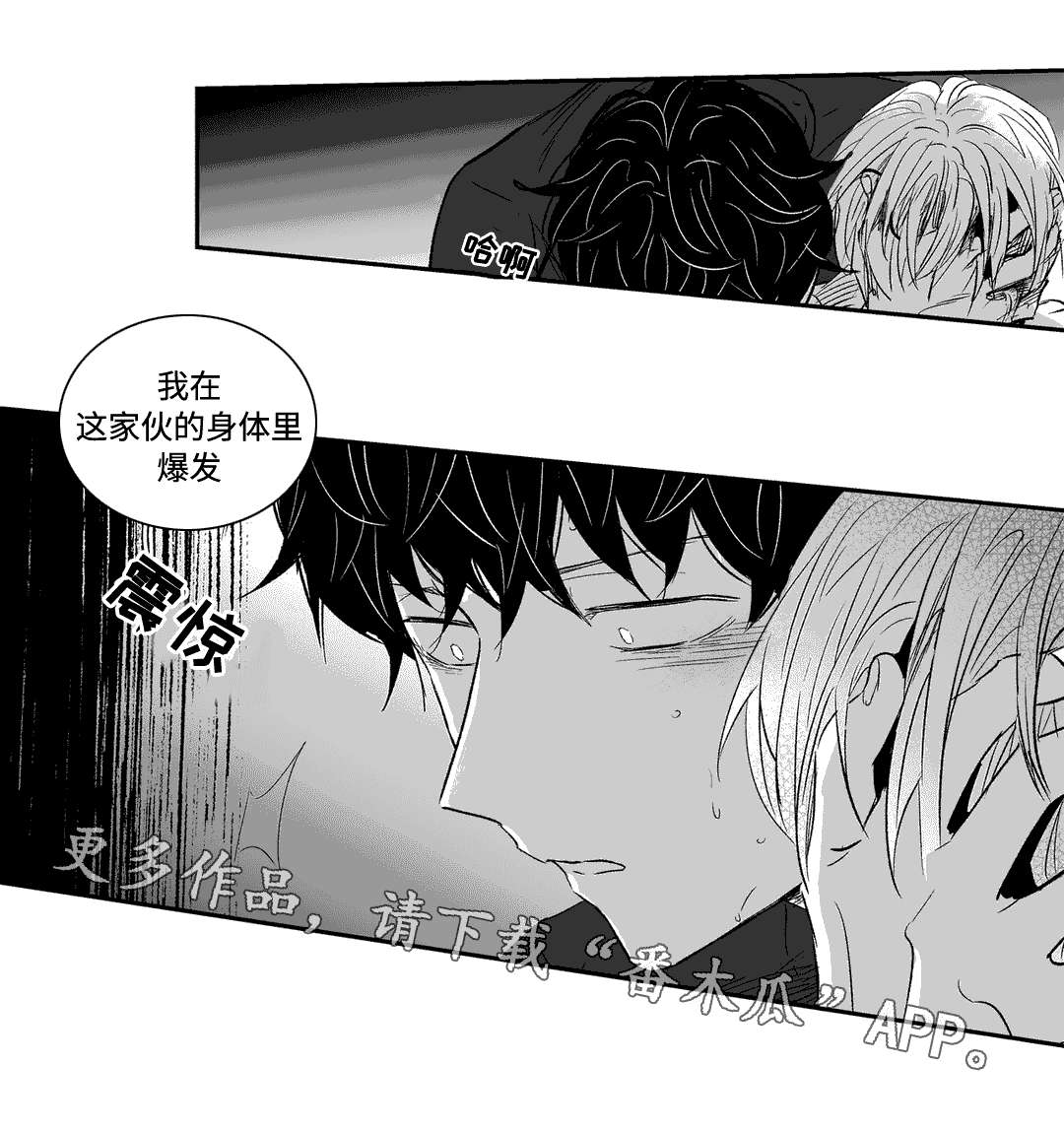 第17章：偶然5