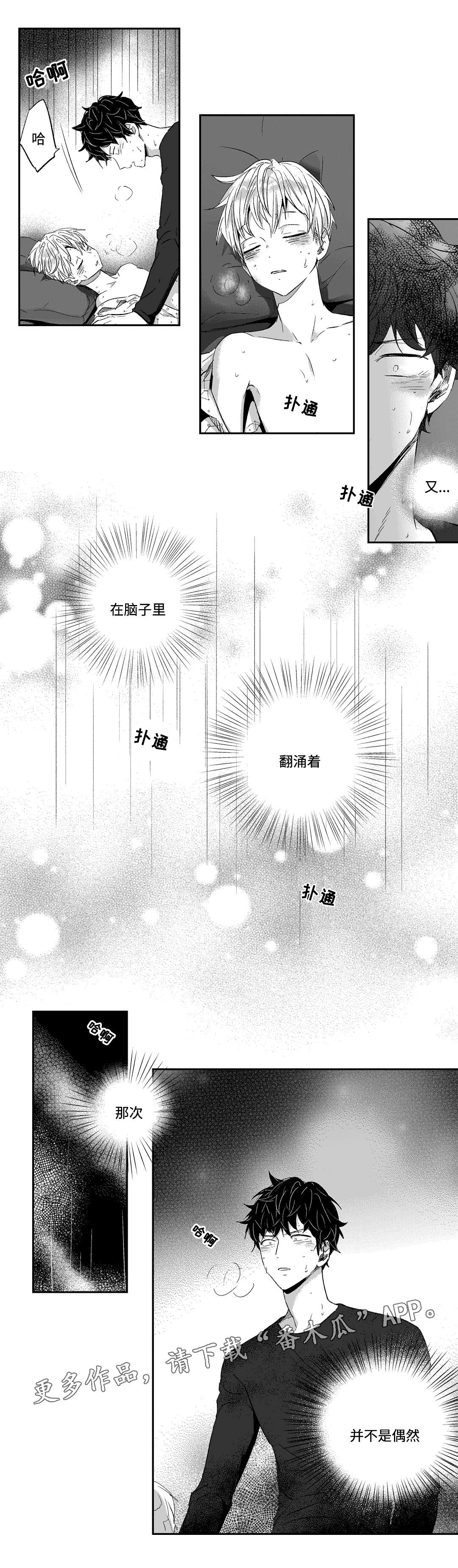 第17章：偶然6