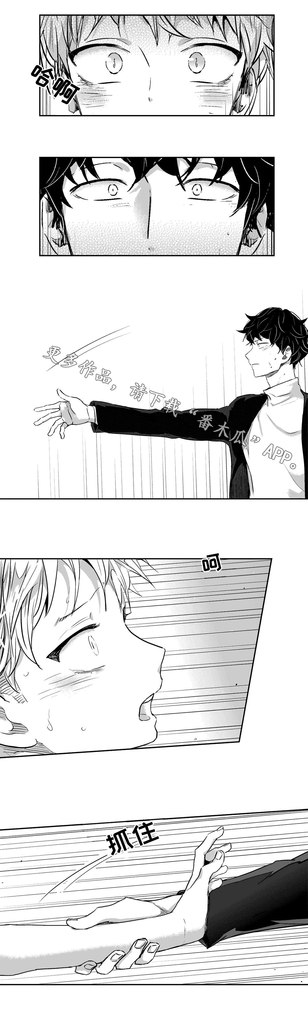 第13章：遮掩5