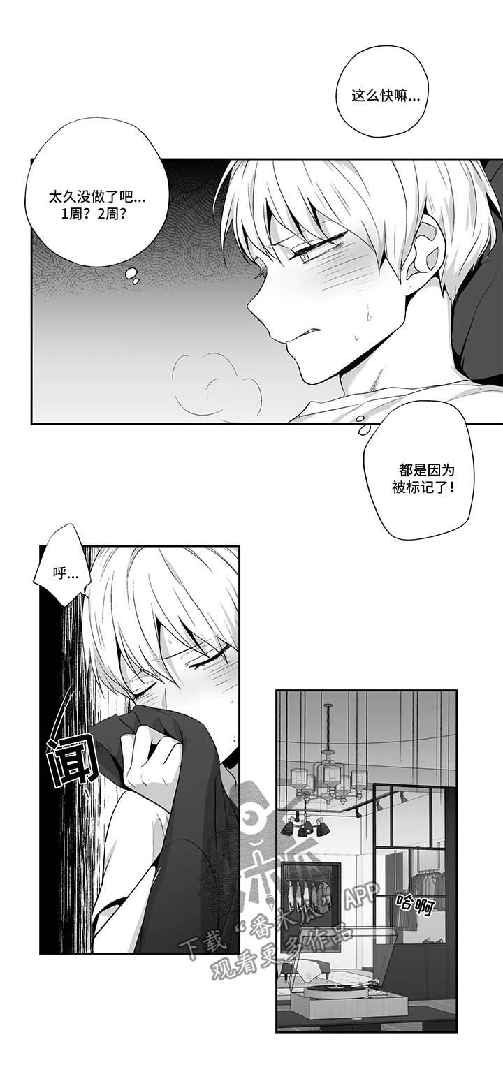 第123章：【第二季】惊人发现5