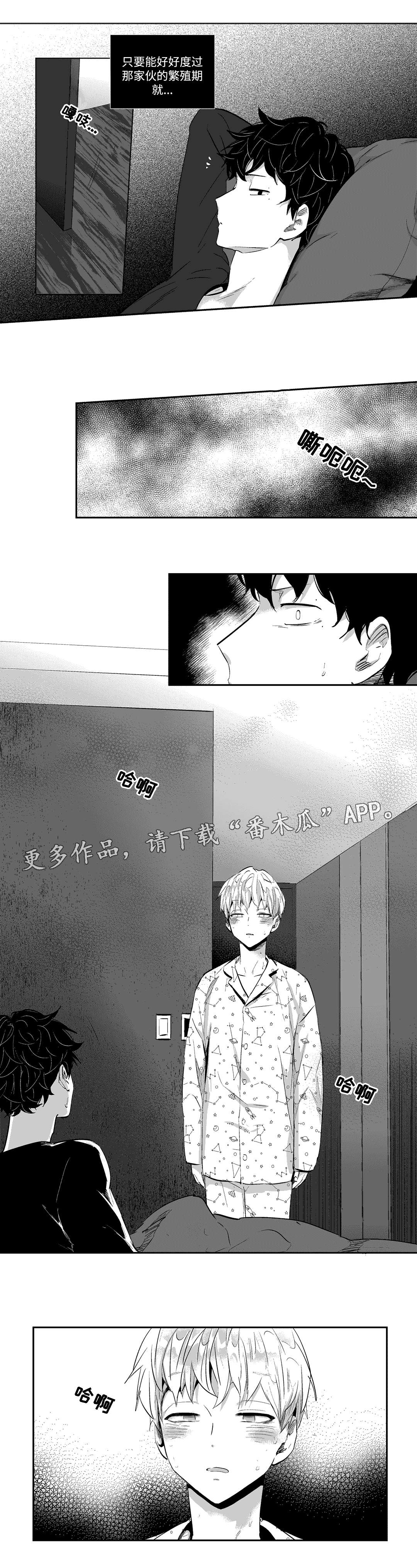 第15章：夜袭9