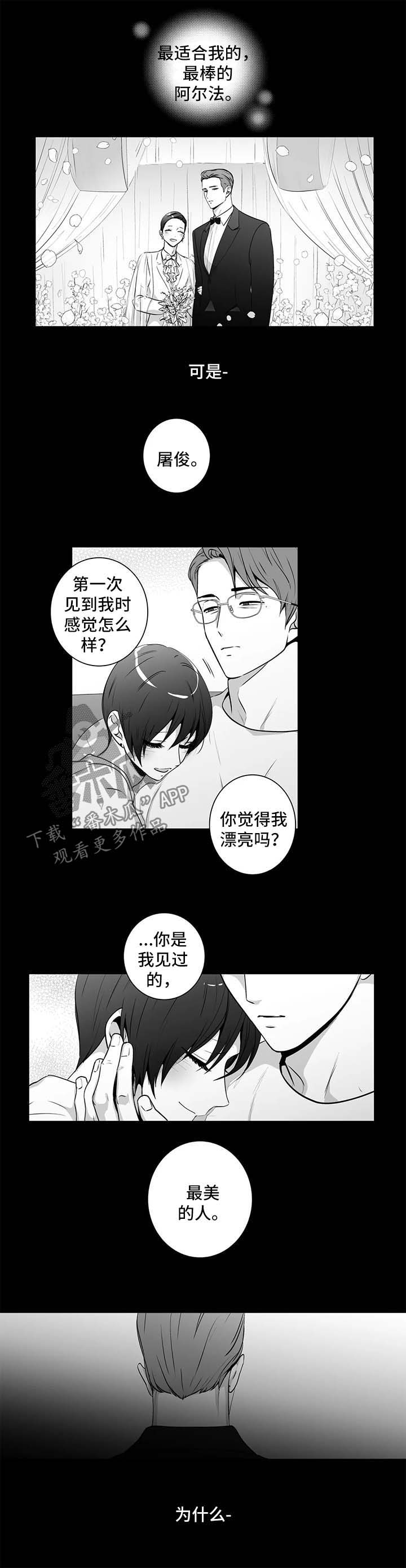 第153章：【第二季】短信2