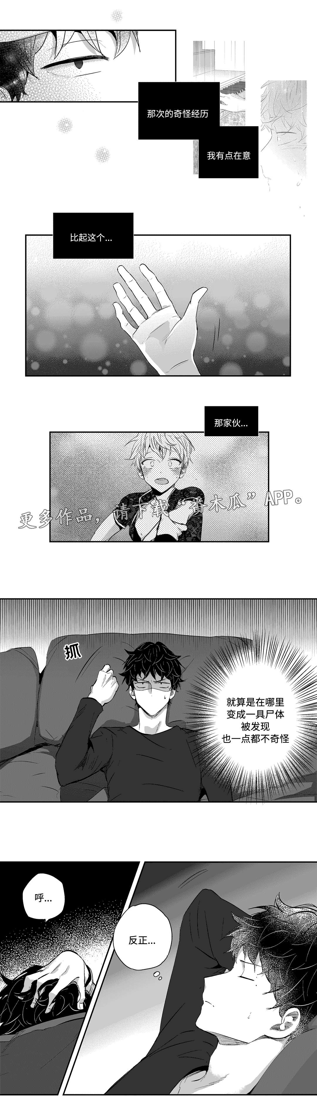第15章：夜袭8