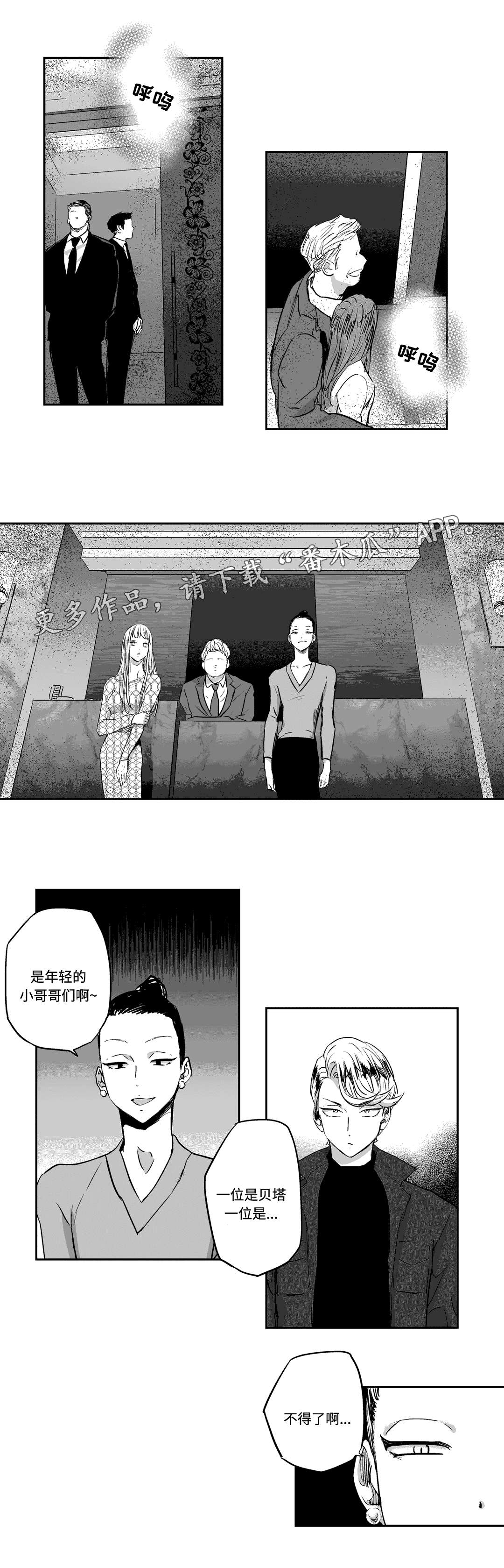 第13章：遮掩0